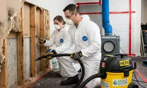 Mold remediation services in Dayton, OH for water damage restoration by local experts